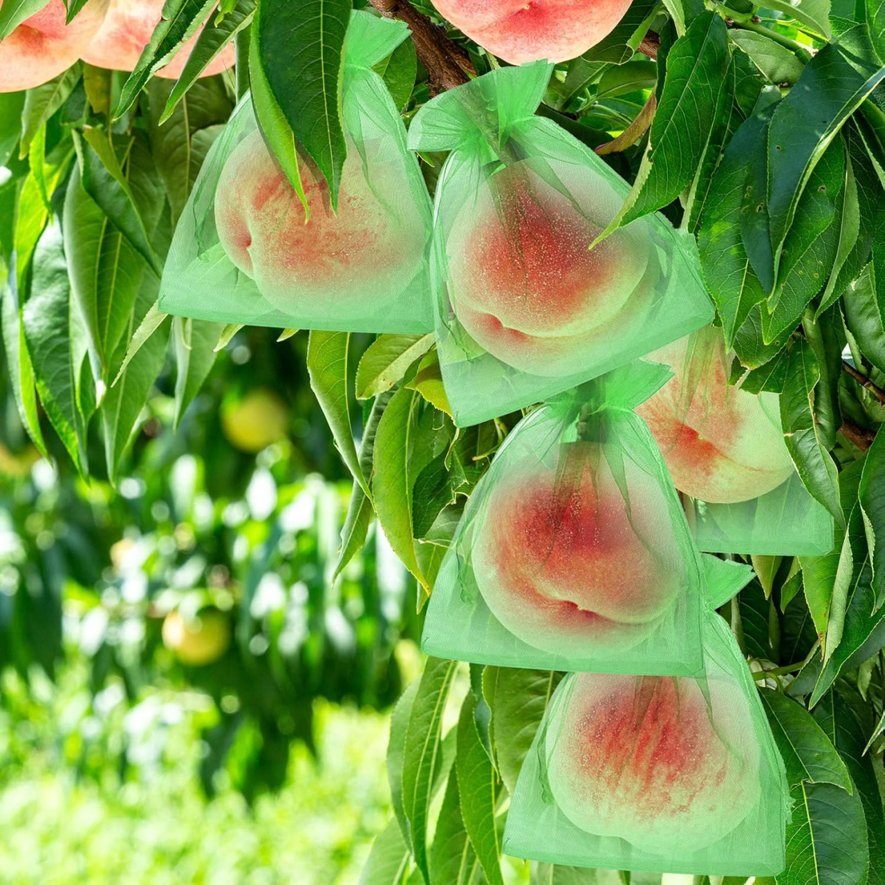 Set 20 Pungi Protectie Fructe si Legume – Protejeaza de Daunatori si Insecte [13]