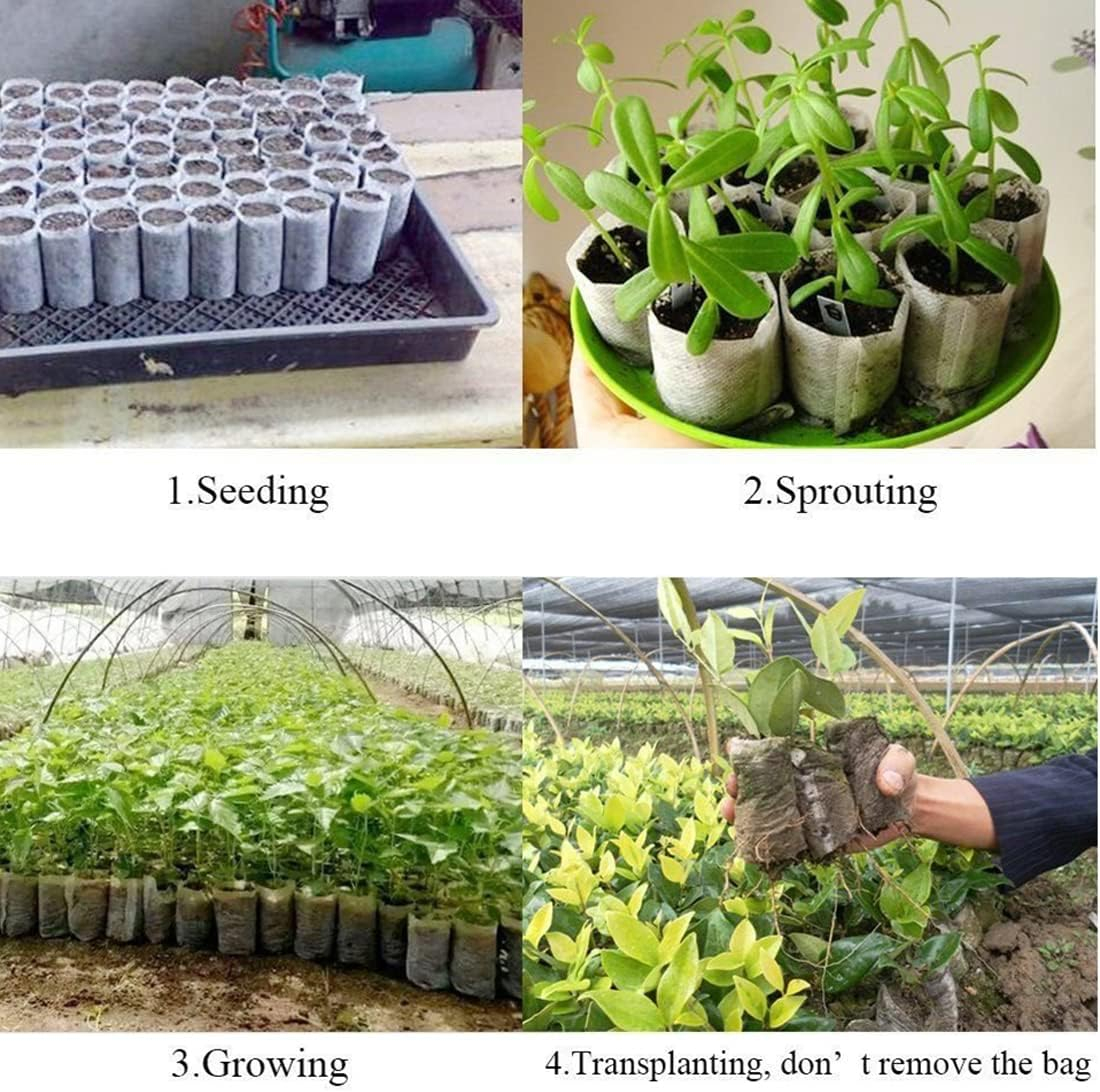 Sac Germinat Semințe – Material Biodegradabil, Set 100 Bucăți [8]