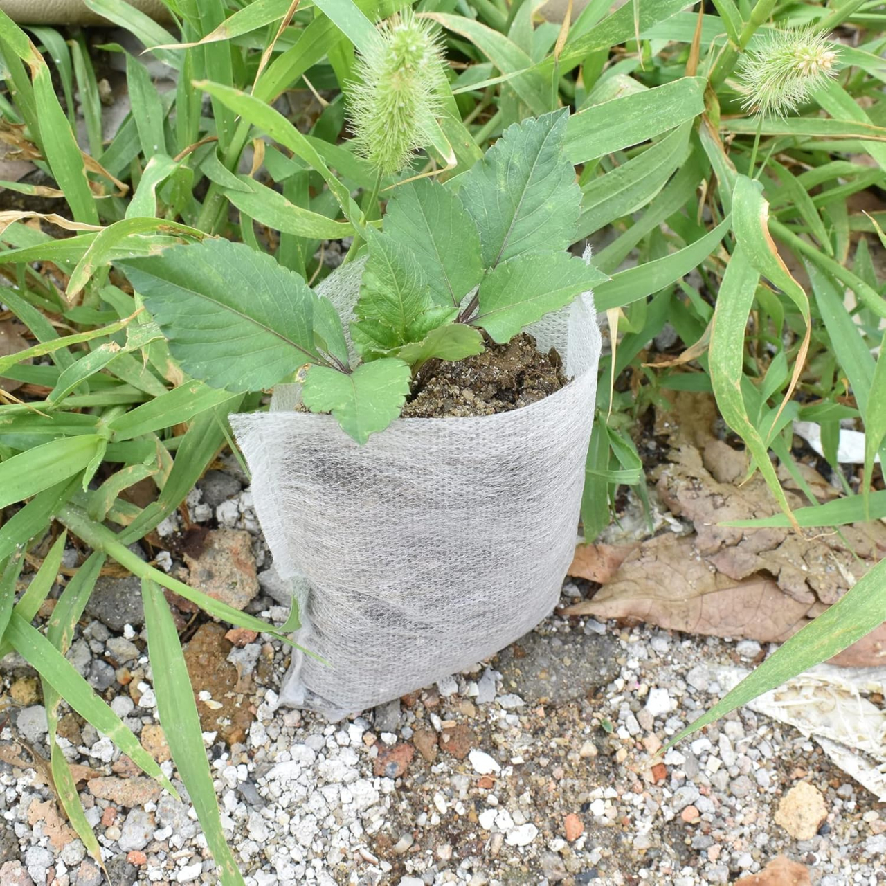 Sac Germinat Semințe – Material Biodegradabil, Set 100 Bucăți [12]