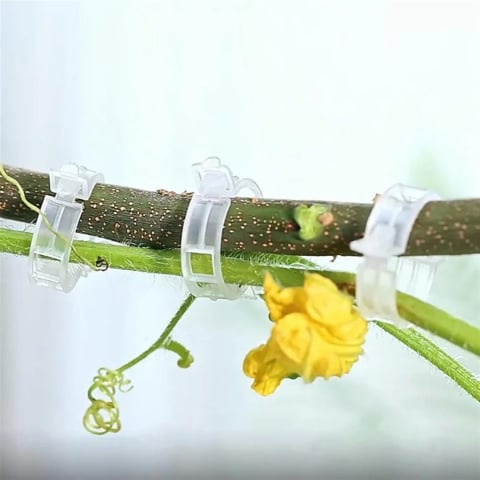 Set 100 Clipsuri pentru Lăstari și Corzi – Diametru 2.5/3 cm [24]
