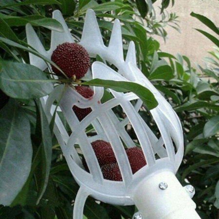 culegator pentru fructe