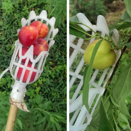 culegator pentru fructe [2]
