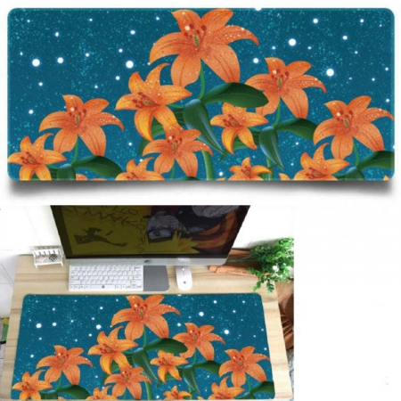 Mouse pad gaming XXL [2]