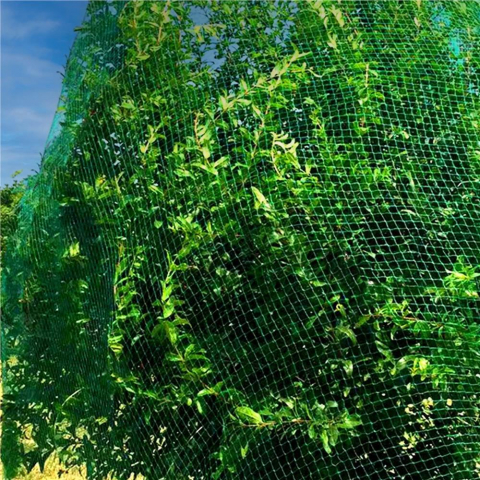 Plasă Protecție Pomi Fructiferi, PVC Verde, 400x500 cm [5]