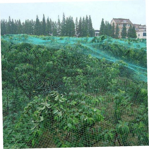 Plasă Protecție Pomi Fructiferi, PVC Verde, 400x500 cm [9]
