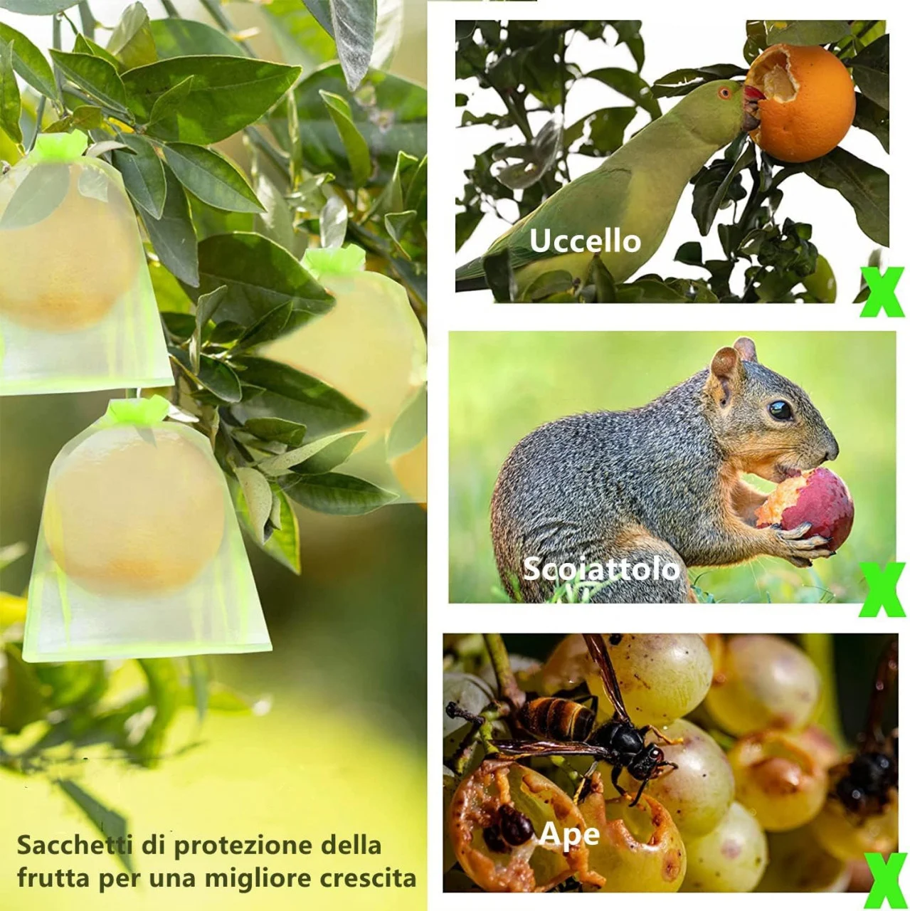 Set 20 Pungi Protectie Fructe si Legume – Protejeaza de Daunatori si Insecte [7]