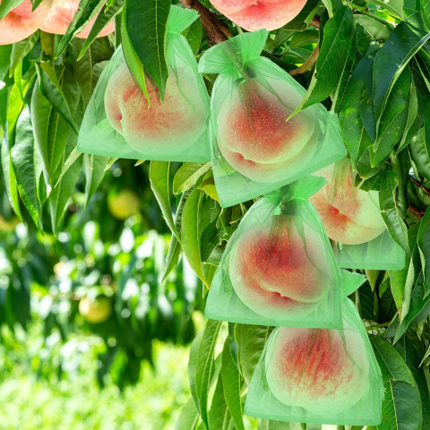 Set 20 Pungi Protectie Fructe si Legume – Protejeaza de Daunatori si Insecte [12]