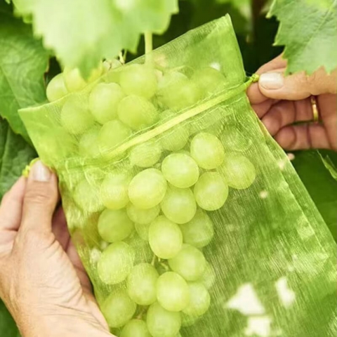 Set 20 Pungi Protectie Fructe si Legume – Protejeaza de Daunatori si Insecte [9]
