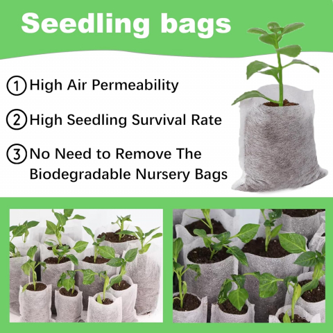 Sac Germinat Semințe – Material Biodegradabil, Set 100 Bucăți [3]