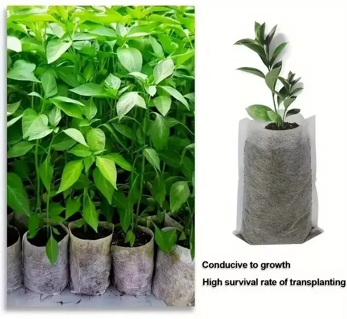 Sac Germinat Semințe – Material Biodegradabil, Set 100 Bucăți [2]