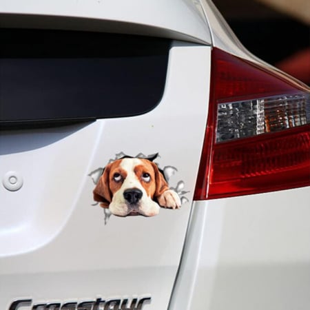 Sticker Decorativ Caine 3D [3]