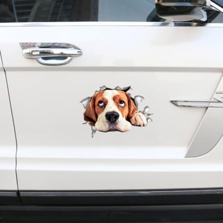 Sticker Decorativ Caine 3D [2]