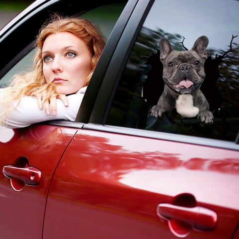 Sticker decorativ perete câine Autocolant perete câine Sticker perete design modern Autocolant perete autoadeziv Decorațiune perete câine Sticker perete animal Autocolant perete 3D câine Sticker perete cameră copii câine Autocolant perete living câine Sticker perete dormitor câine [11]