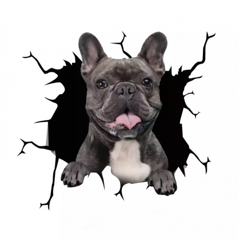 Decorațiuni - Bricolaj DIY - Sticker decorativ perete câine Autocolant perete câine Sticker perete design modern Autocolant perete autoadeziv Decorațiune perete câine Sticker perete animal Autocolant perete 3D câine Sticker perete cameră copii câine Autocolant perete living câine Sticker perete dormitor câine
