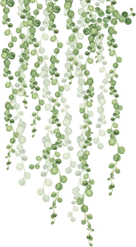 Stickere Florale - sticker decorativ plante ornamentale verde maffstuff