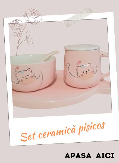 Set pisicos din ceramica