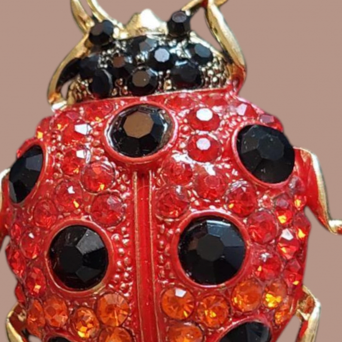 Brosa din metal inoxidabil in forma de carabus [2]
