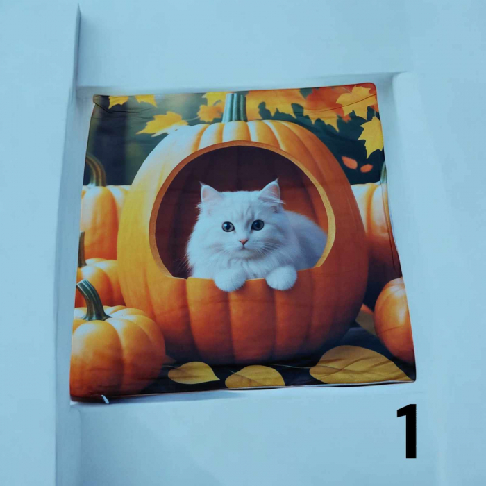 Fata de perna detasabila cu desen pisici scumpe [4]