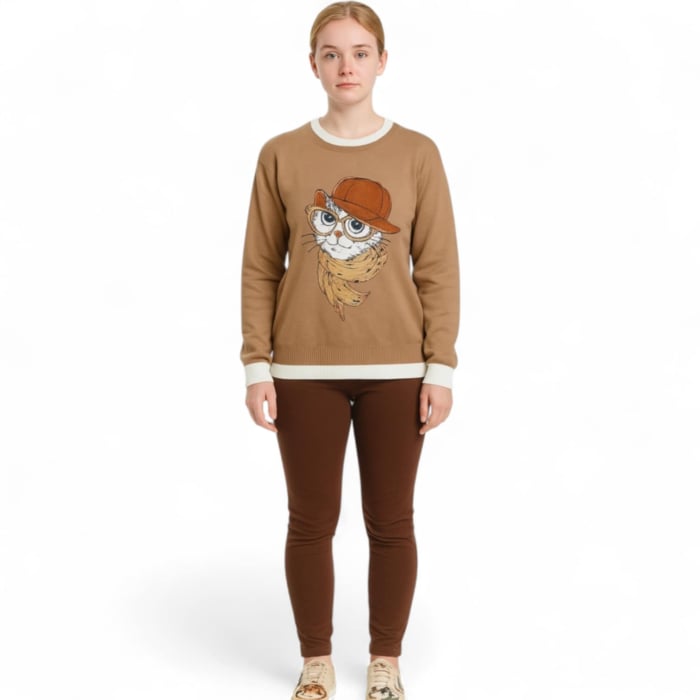 pulover pisica pentru sezon rece [2]