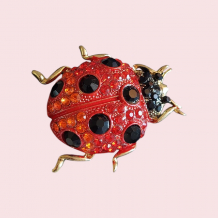 Brose - Brosa din metal inoxidabil in forma de carabus