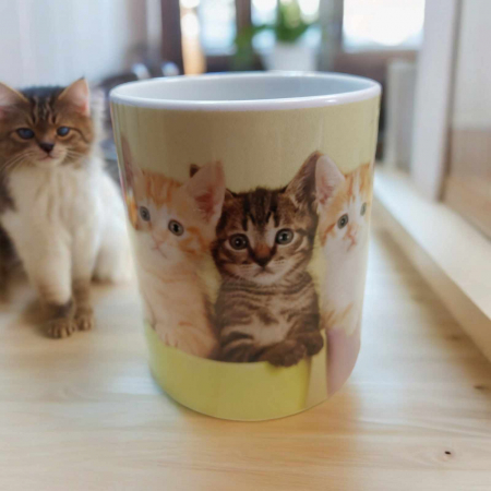Cani/Seturi - cana din ceramica si desen pisica