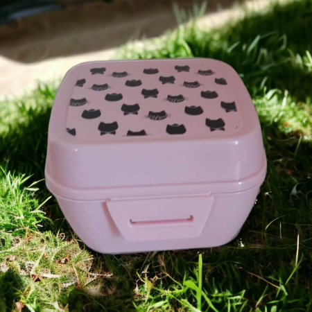Decoratiuni pisici - cutie desen pisici nrgre din plastic