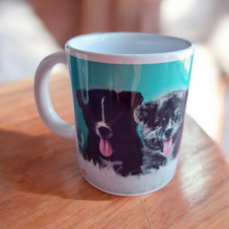 Cani/Seturi - Cana din Ceramica cu Desene Catei Scumpi