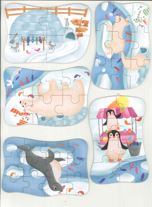 5 PUZZLE Polul Nord in cutie metalica [2]