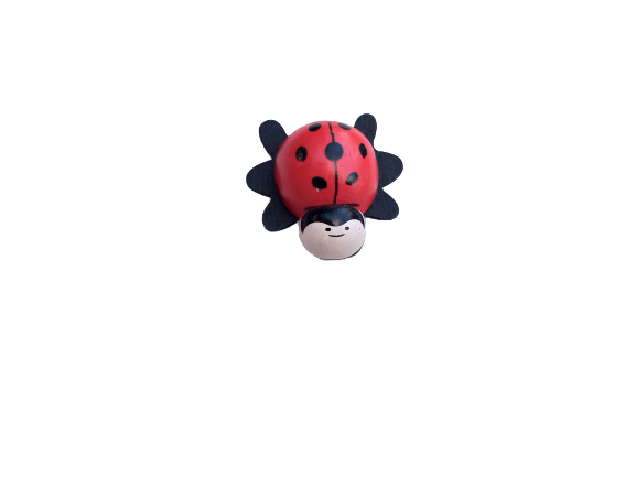Magnet - buburuza 4 cm [2]