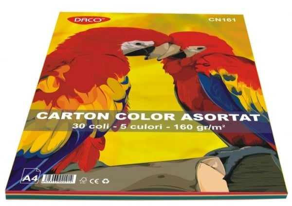 Carton color asortat 30 coli/ top, 5 culori asortate 160 g/mp [1]