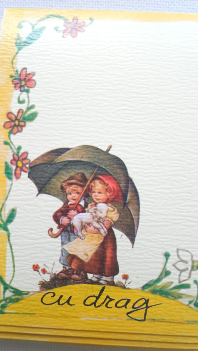 Etichete carton Copii cu miel - set 100 bucati [2]