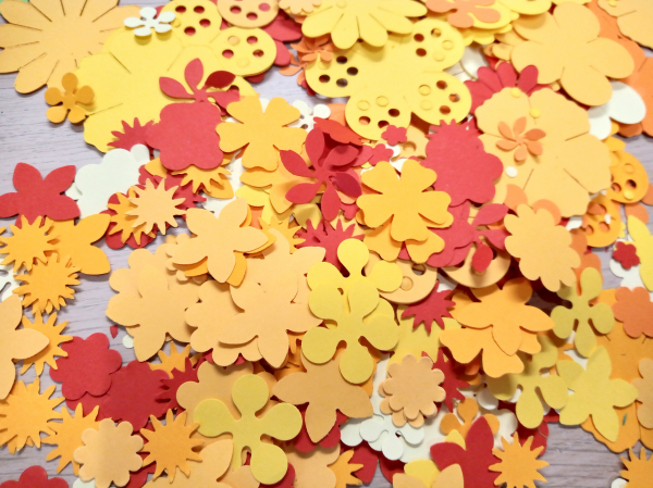 Floraria - set creativ [3]