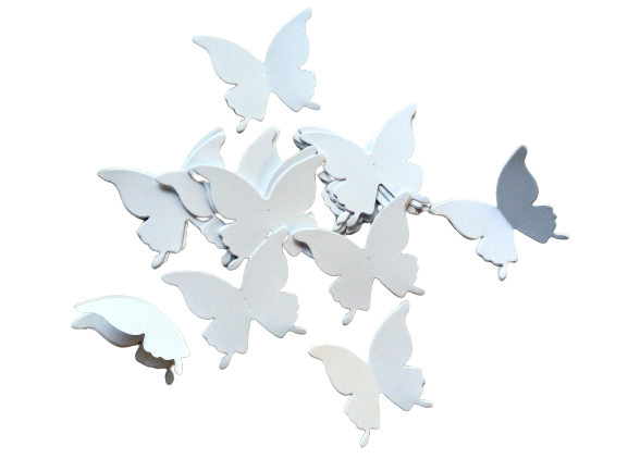 Fluturi albi [1]