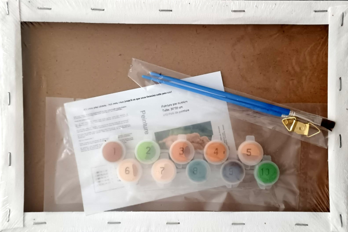 Pictura pe numere Câței 20 cm/ 30 cm [2]