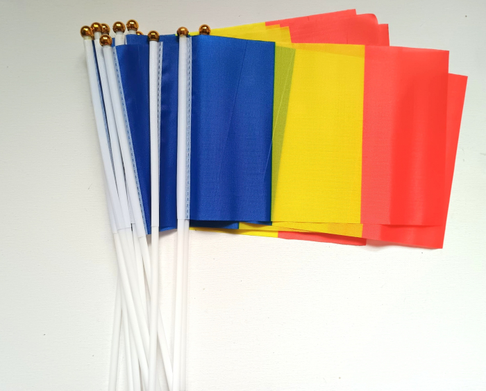 Steag Romania 21 cm/ 14 cm [1]