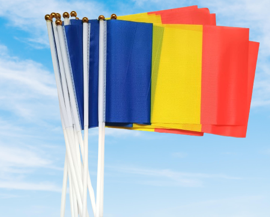Steag Romania 21 cm/ 14 cm [1]