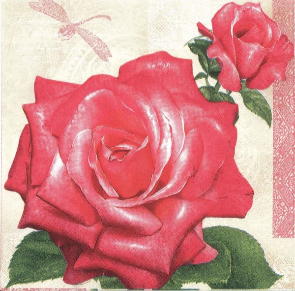 Servetel trandafiri [1]