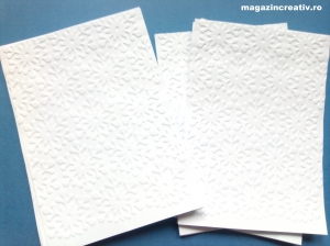 CARTON CU MODEL IN RELIEF - Carton embosat fulgi