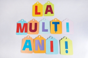 SETURI ABILITATI PRACTICE - Set creativ Ghirlanda La multi ani!