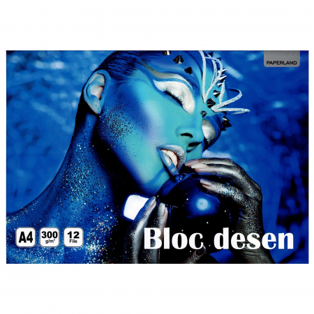PICTURA - Bloc desen A4 policromie 300 gr - 12 file