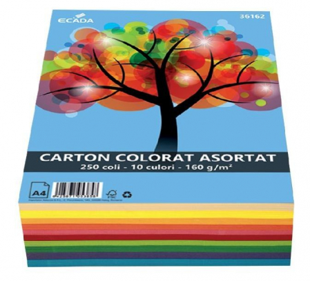 CARTON SI HARTIE - Carton color A4 250 coli 10 cul Ecada 160G/mp