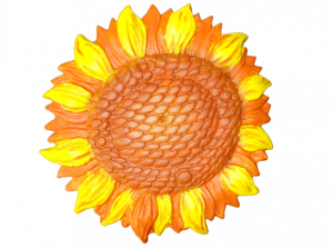 Floarea soarelui ipsos [2]