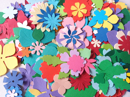 SETURI ABILITATI PRACTICE - Floraria 300 buc