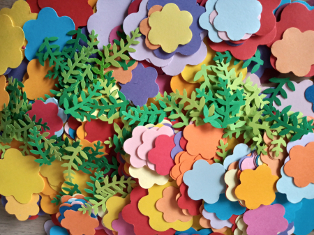 Floraria noua - set creativ