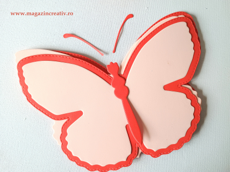 PASTI - Fluturi dubli carton 20 cm - set creativ