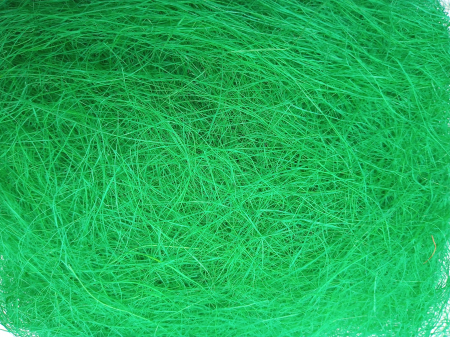 ANOTIMPURI - Iarba verde ornamentala