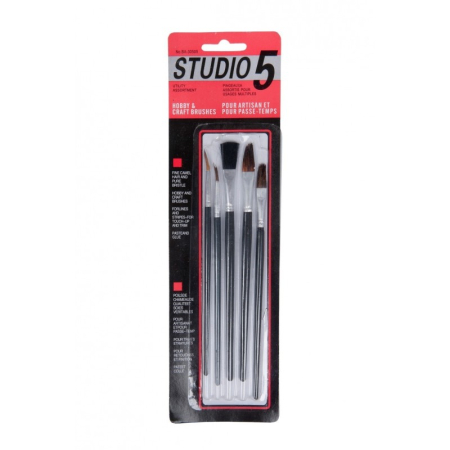 PICTURA - Pensule Studio set de 5 buc.