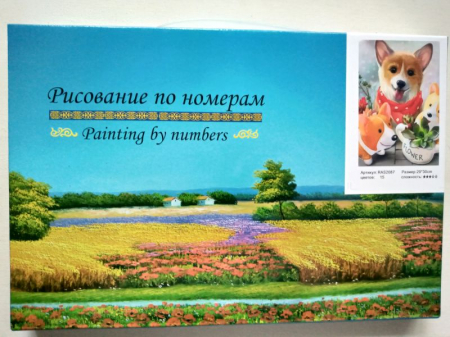 Pictura pe numere 20 cm/ 30 cm - Trandafir rosu [2]