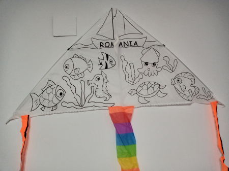 PICTURA PE NUMERE. PANZA PICTURA - Set pictura zmeu