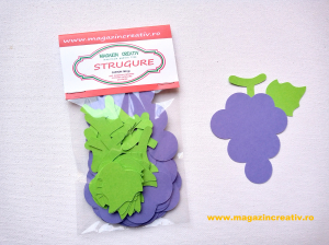 SETURI ABILITATI PRACTICE - Strugure - set creativ